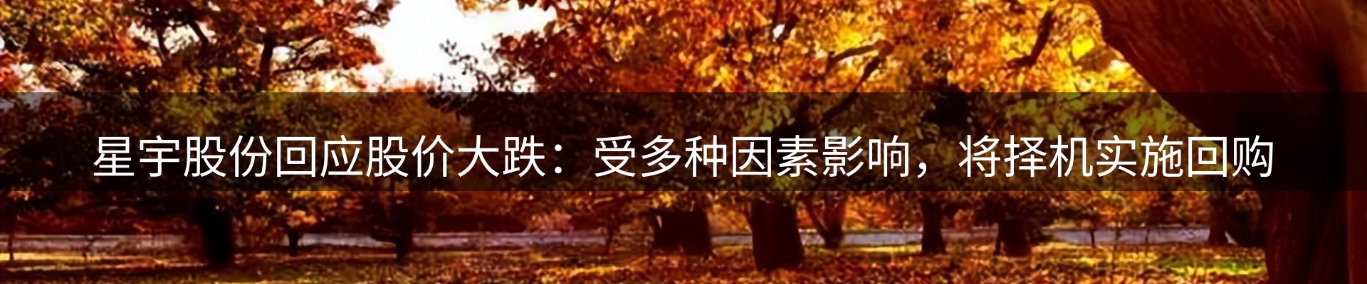 焦点观察